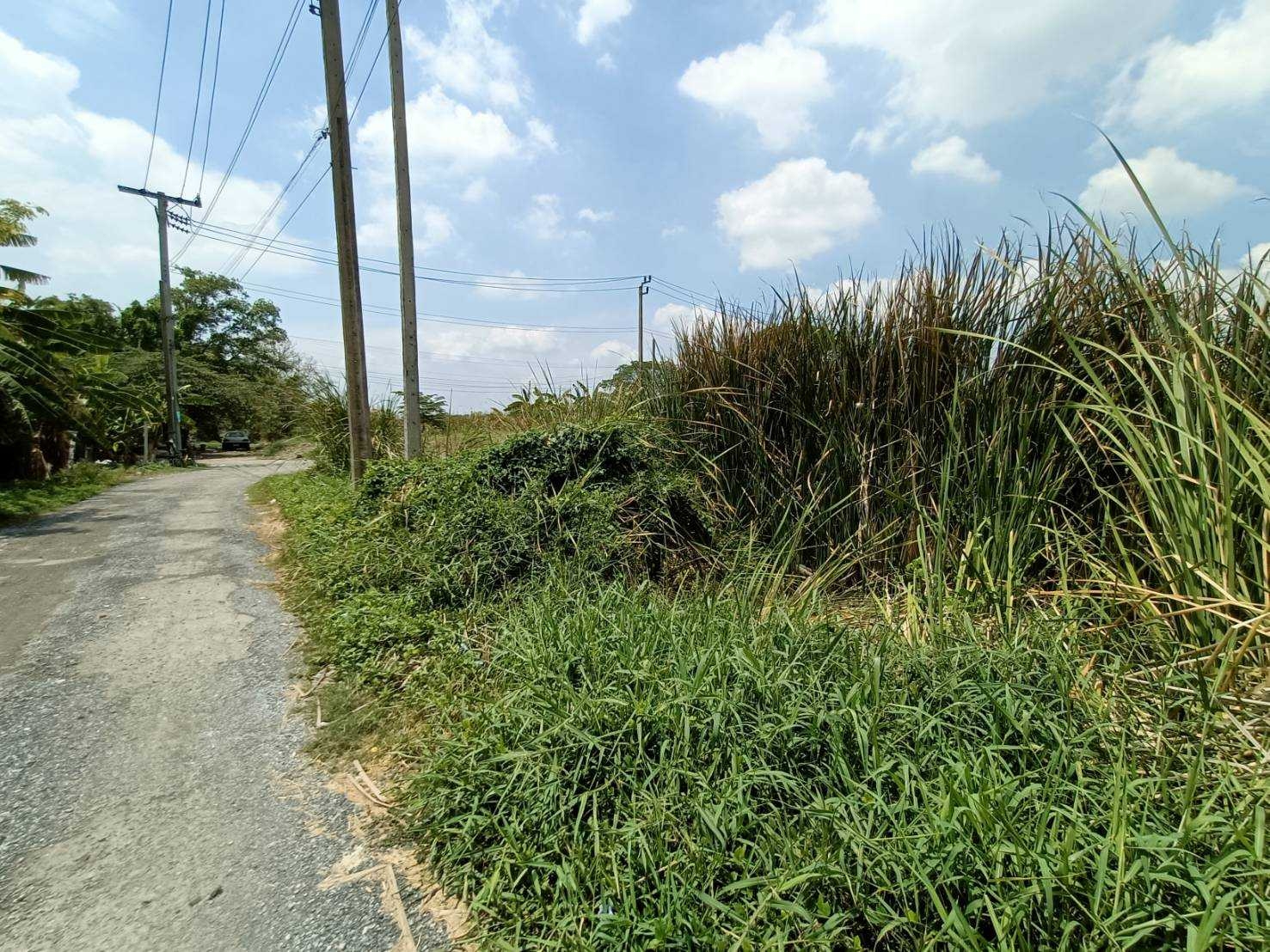 ขายที่ดินเปล่าทำเลยอดนิยมย่านพัฒนาการ ซอย อ่อนนุช 70/1 (N.642)