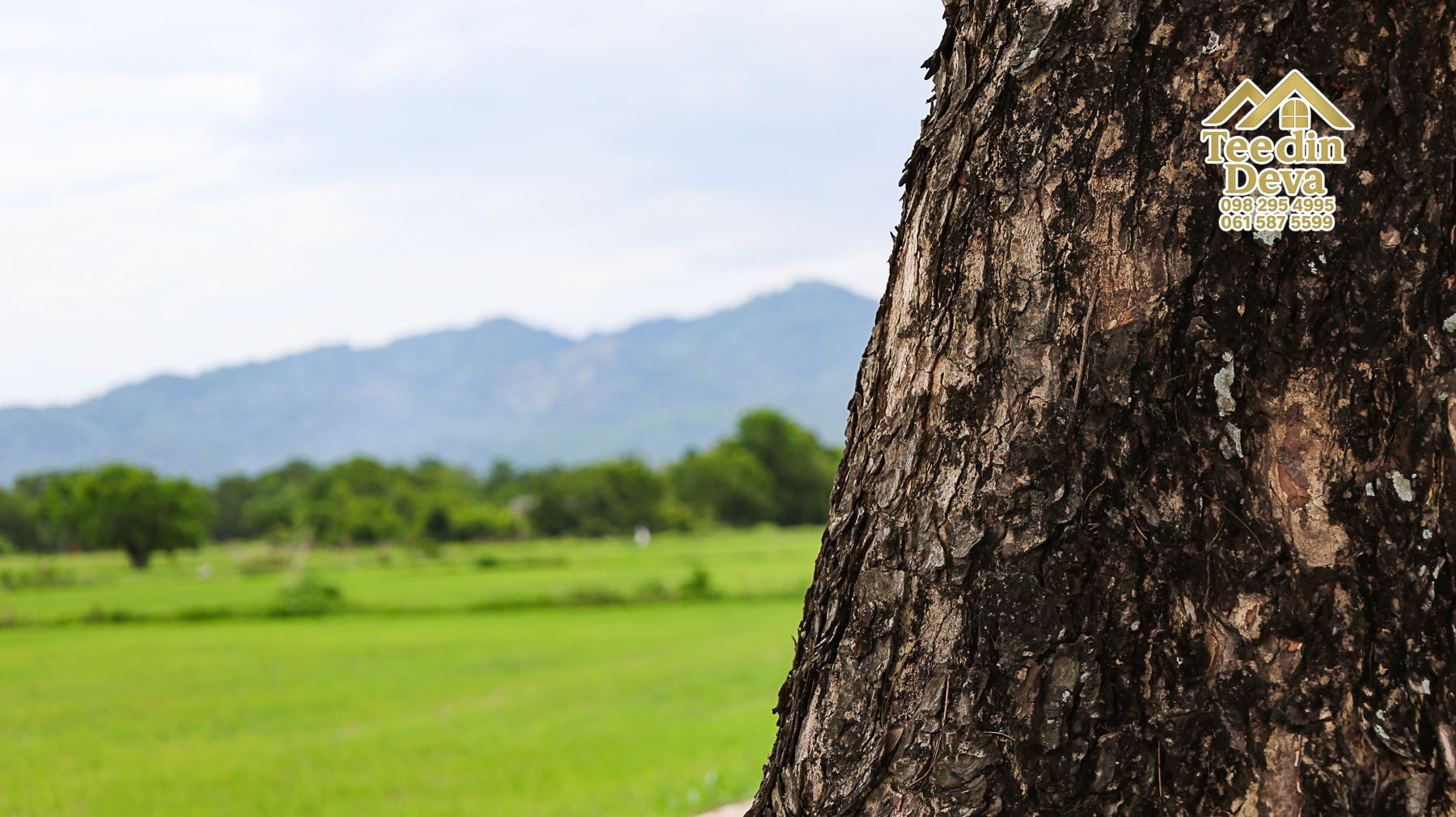 ใช้ชีวิตเรียบง่าย ท่ามกลางขุนเขาและลมเย็นที่พรหมณี 100 ตรว ต.พรหมณี อ.เมือง จ.นครนายก