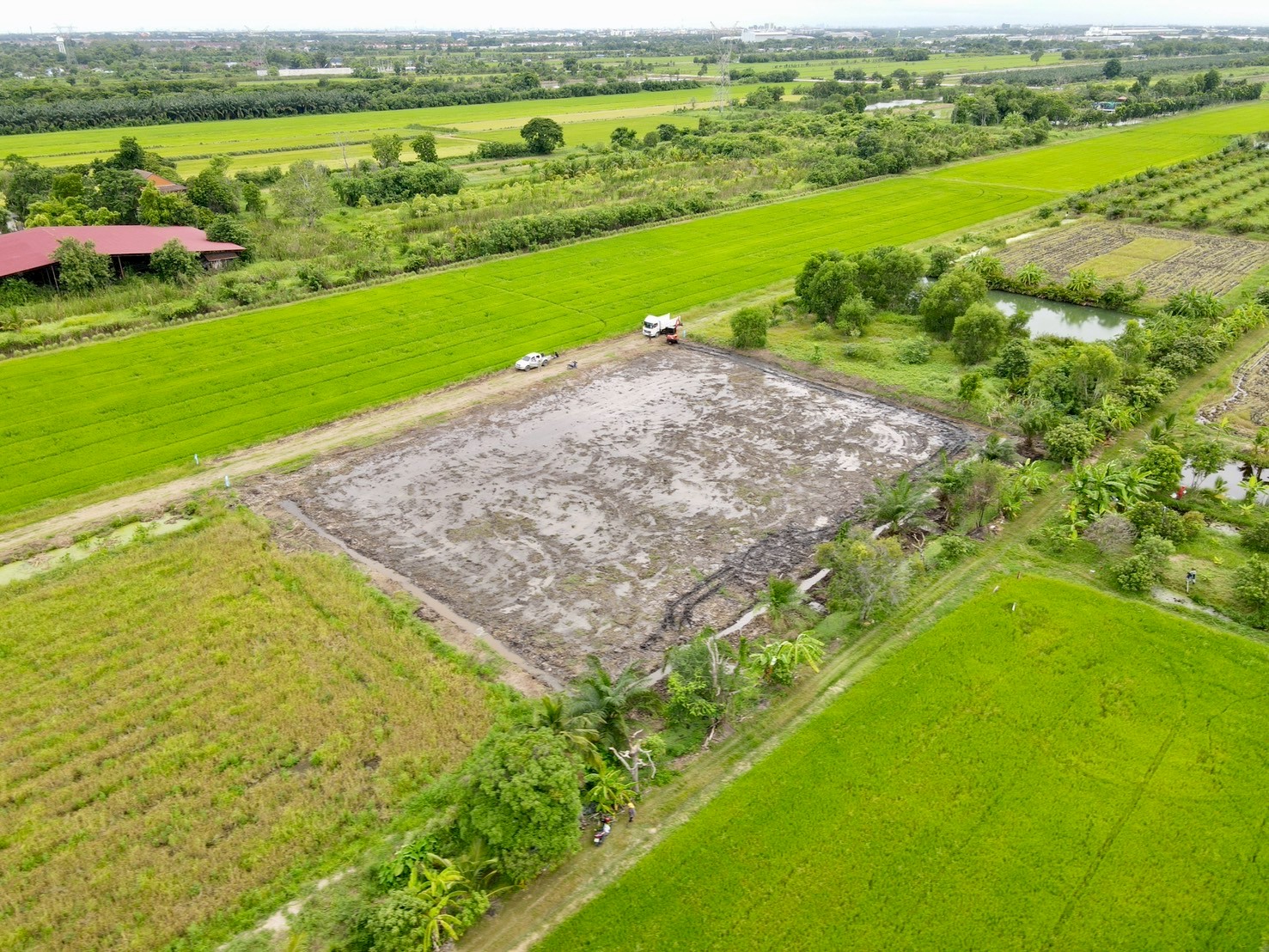 "ที่ดินในฝัน ใกล้เมือง 🌿 1 ไร่ – คลอง 8 หนองเสือ จ.ปทุมธานี"