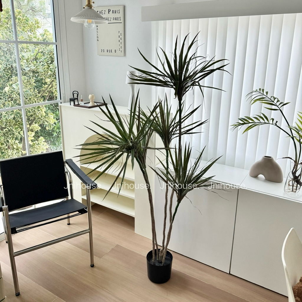 [พร้อมส่ง] Jnihouse : Dragon Tree ต้นไม้ประดิษฐ์ ขนาดสูง 150 cm (Tree)