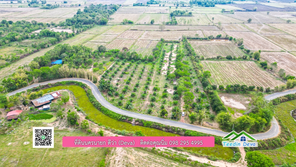 ขายที่ดิน สวนปาล์ม แปลงสวย ทำเลดี เนื้อที่ 11-3-8 ไร่ ให้ผลผลิตแล้ว อ.ปากพลี จ.นครนายก