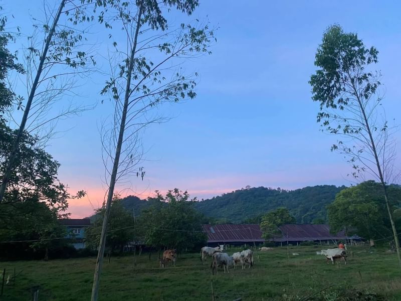 ที่ดินนครนายก วิวภูเขา ติดกับ ฝายทดน้ำ ถนนสาธาณะ พื้นที่ 516 ตร.ว. ต.เขาเพิ่ม อ.บ้านนา จ.นครนายก