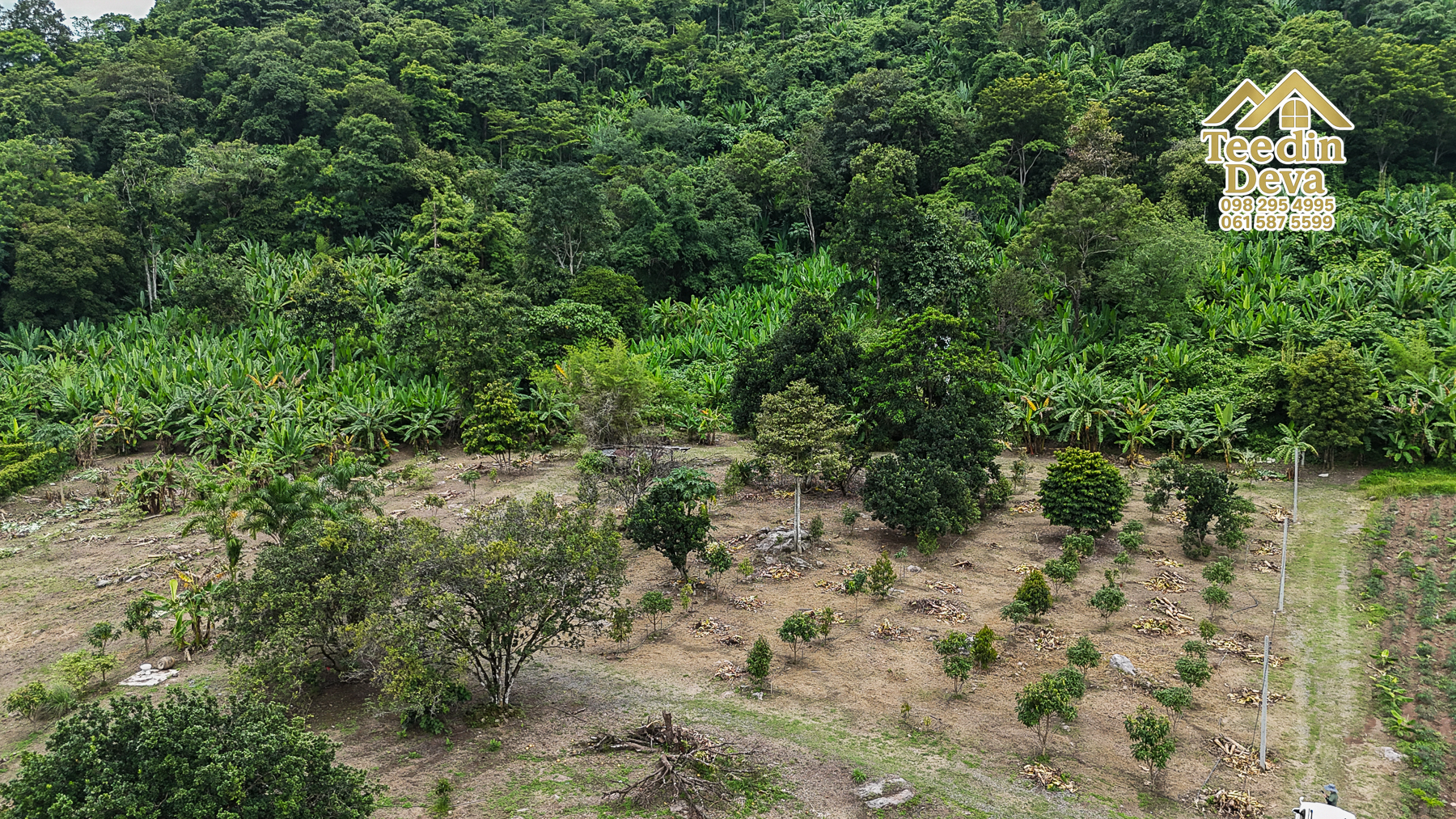 ที่ดินติดภูเขา เนินสวย พร้อมพัฒนารีสอร์ทหรือพูลวิลล่า 1 ไร่ ต.เขาพระ อ.เมือง จ.นครนายก 🏡