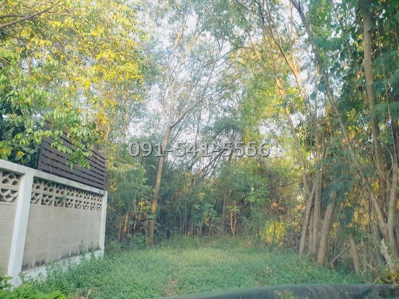 ขายที่ดิน 99 ตรว รามอินทรา 47 แยก 6 พื้นที่สีเหลือง การเดินทางสะดวก ใกล้รถไฟฟ้าสายสีชมพู เหมาะกับการสร้างเป็นที่อยู่อาศัย