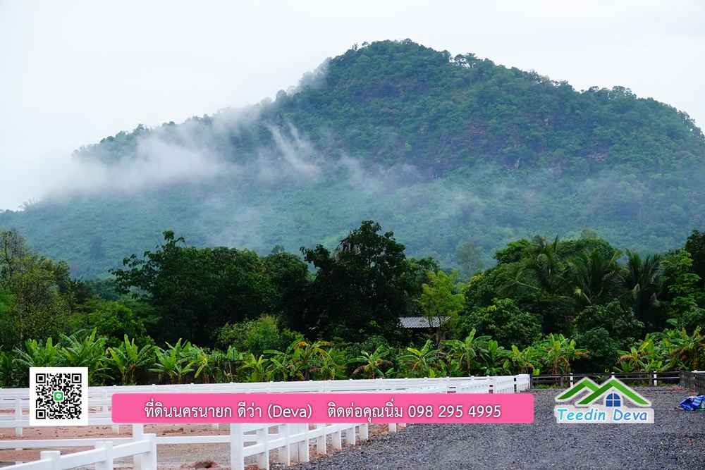 ที่ดินนครนายก วิวภูเขาสวยๆ ราคาแปลงละ 1.36 ล้านบาท สด และผ่อน