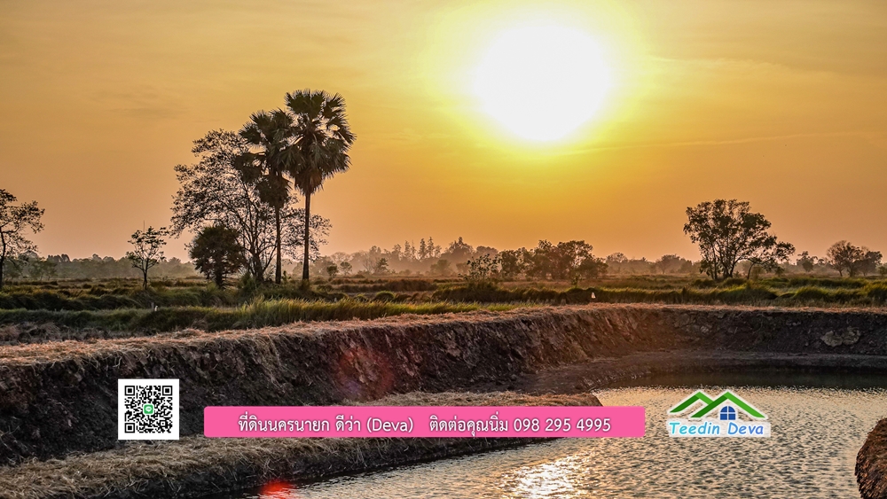 🌿 ที่ดินสวยๆ ขนาด 2 ไร่ พร้อมน้ำไฟ ดินดี น้ำดี อากาศดี มีเพื่อนบ้าน ณ ต.ปากพลี อ.ปากพลี จ.นครนายก