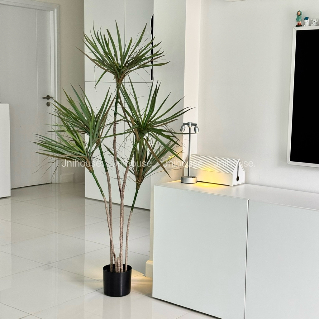 [พร้อมส่ง] Jnihouse : Dragon Tree ต้นไม้ประดิษฐ์ ขนาดสูง 150 cm (Tree)