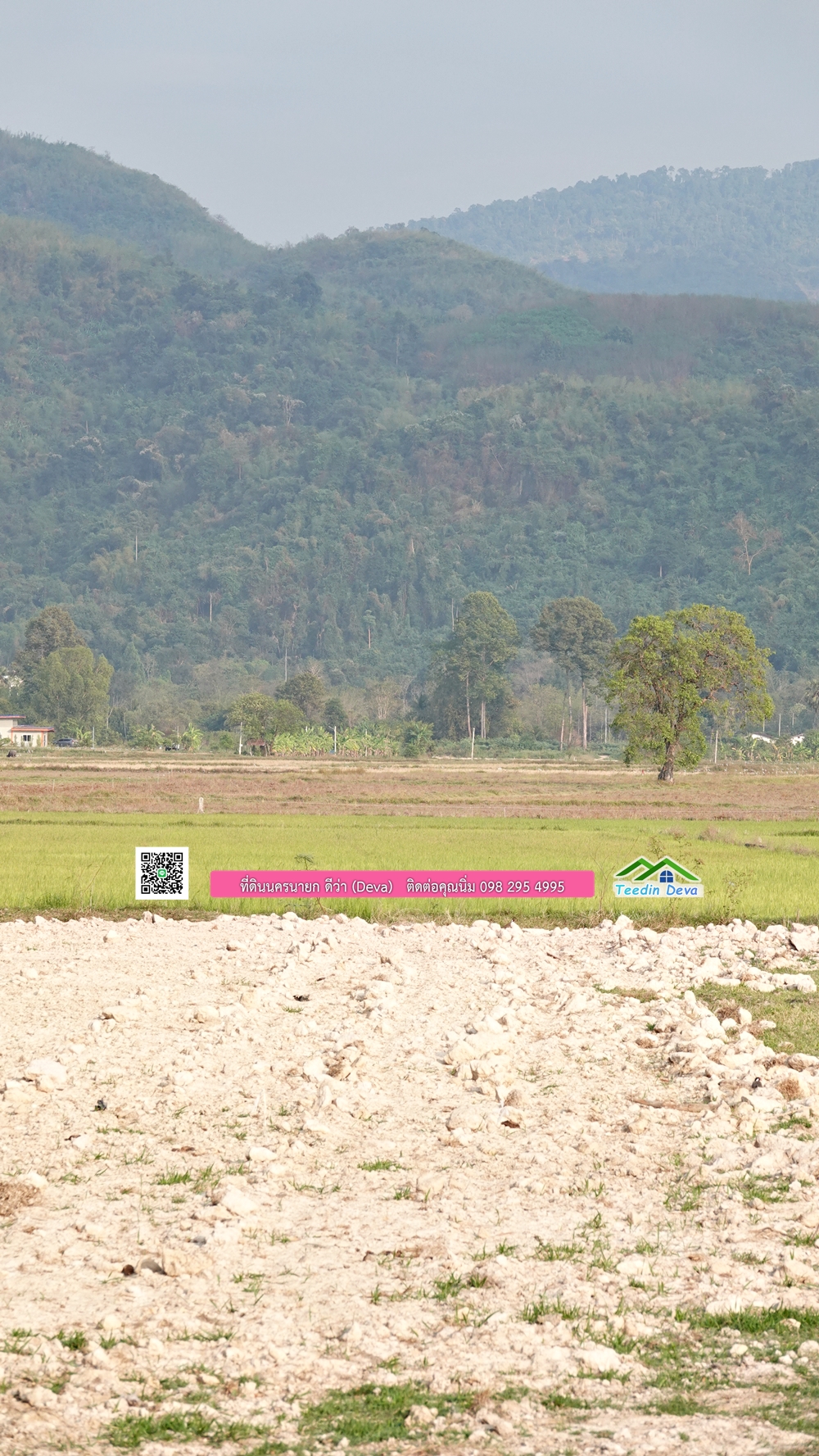 ที่ดินนครนายก วิวทุ่งนาต้นยางสวยๆ ขนาด 4 ไร่ ราคาไร่ละ 1.5 ล้าน ต.เขาเพิ่ม อ.บ้านนา จ.นครนายก