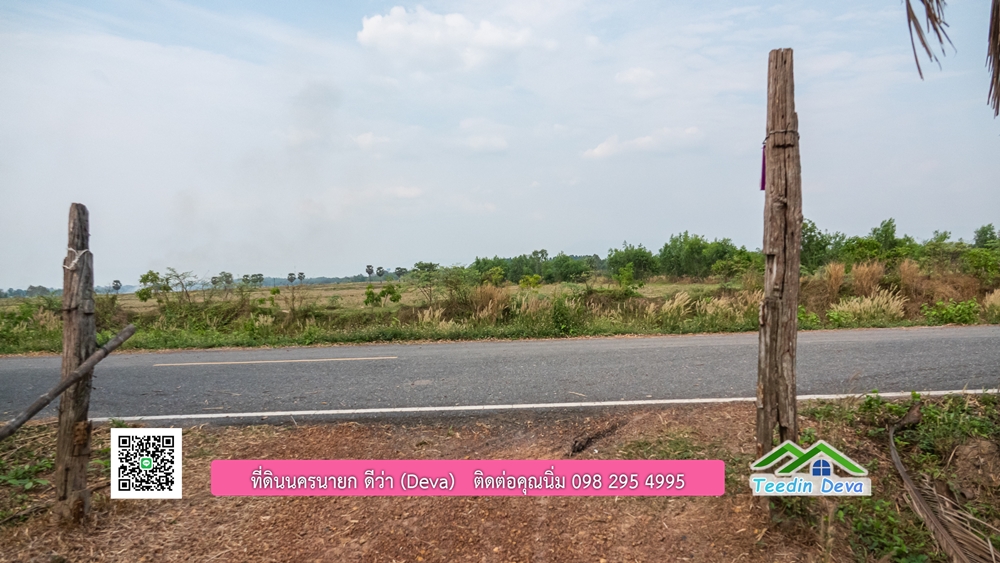 ขายที่ดิน สวนปาล์ม แปลงสวย ทำเลดี เนื้อที่ 11-3-8 ไร่ ให้ผลผลิตแล้ว อ.ปากพลี จ.นครนายก