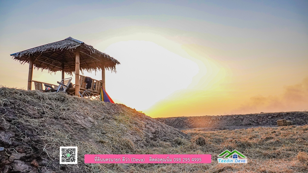 🌿 ที่ดินสวยๆ ขนาด 2 ไร่ พร้อมน้ำไฟ ดินดี น้ำดี อากาศดี มีเพื่อนบ้าน ณ ต.ปากพลี อ.ปากพลี จ.นครนายก