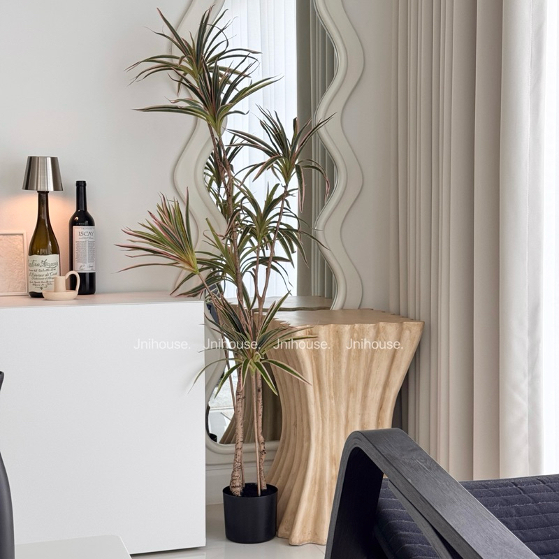 [พร้อมส่ง] Jnihouse : ต้นเข็มสามสีประดิษฐ์ (Madagascar Dragon Tree)