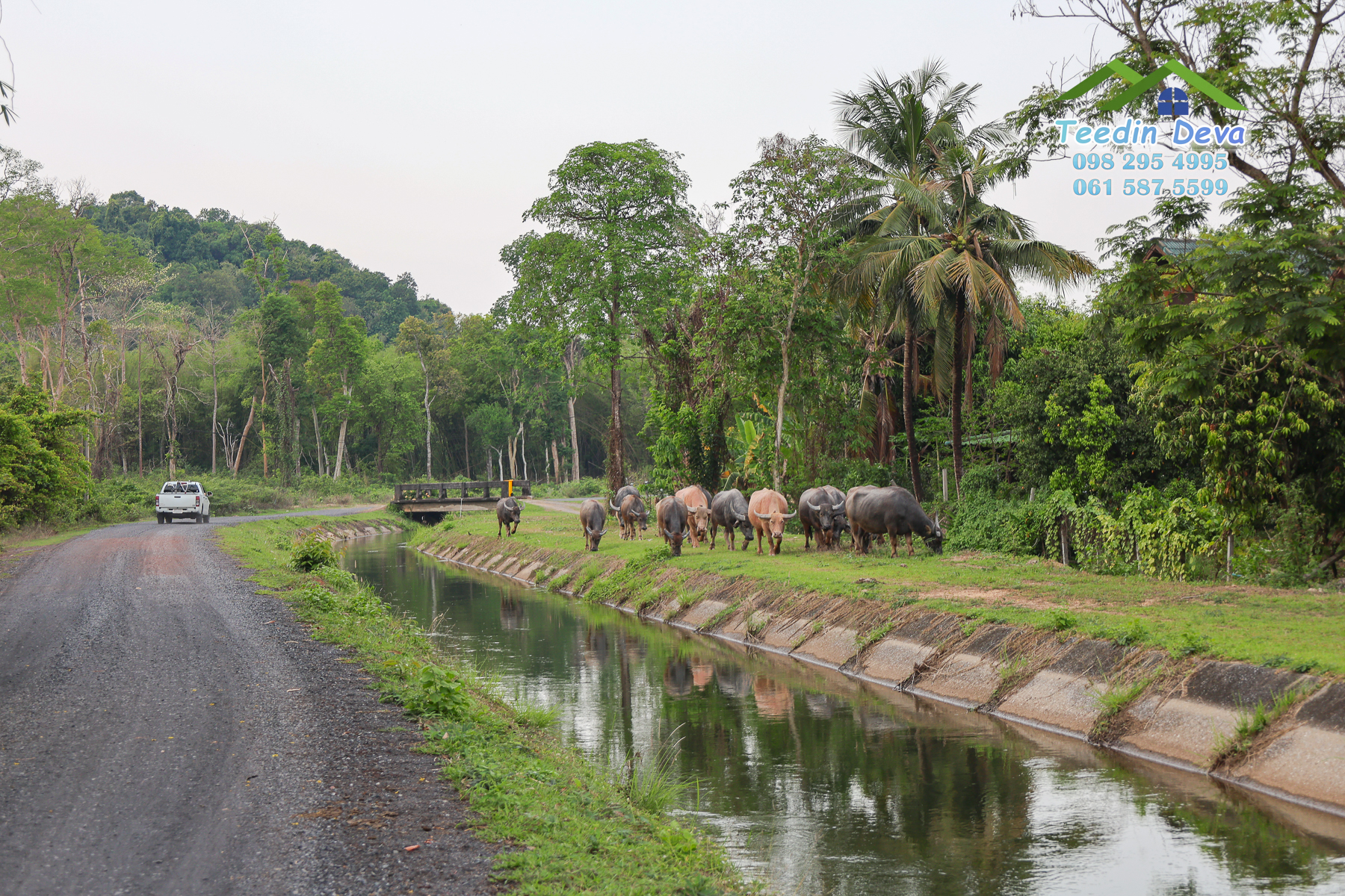 🌿 “มุมสงบแห่งภูกะเหรี่ยง” ที่ดินวิวเขา ริมคลองน้ำใส 297 ตรว. ต.หินตั้ง อ.เมือง จ.นครนายก สำเนา