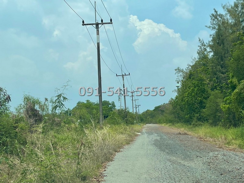 ขายที่ดิน 1 แปลง ริมถนน รูปสี่เหลี่ยมผืนผ้า สนามกอล์ลำลูกกา คันทรี่คลับ รวม 2-0-1 ไร่ กล้หมู่บ้านและร้านค้ามากมาย