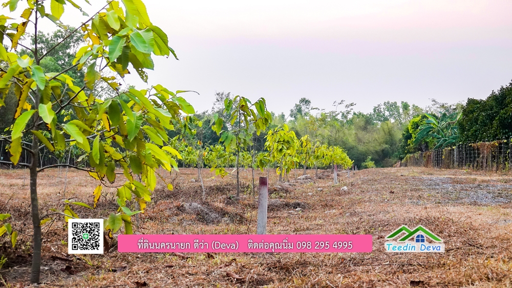 ที่ดินนครนายก วิวภูเขา ราคาเริ่มต้น 867,600 บาท ⭐ ทำเลแบบนี้ หาไม่ได้อีกแล้ว