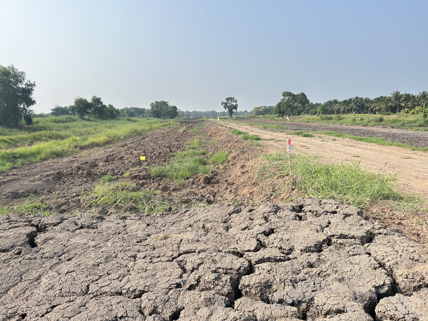 📢 ที่ดินแบ่งขายทำเลดี คลอง 11 หนองเสือ ปทุมธานี (รพีพัฒน์ เฟส 3) 🎗️