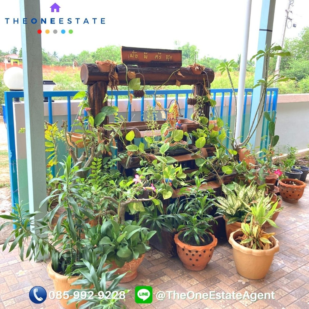 📣 บ้านเดี่ยวชั้นเดียว หมู่บ้านอยู่สบาย ใกล้แหล่งท่องเที่ยว บรรยากาศโล่งสบาย เพื่อนบ้านดีเยี่ยม ต.ท่าทองหลาง อ.บางคล้า จ.ฉะเชิงเทรา The Best ! | โทร. 085-992-9228