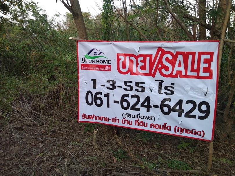ขายถูกที่ดินคลอง13 รังสิต-ปทุม 1ไร่ 3 งาน 55 วา กว้าง 40 ลึก 90 เมตร (N.010)