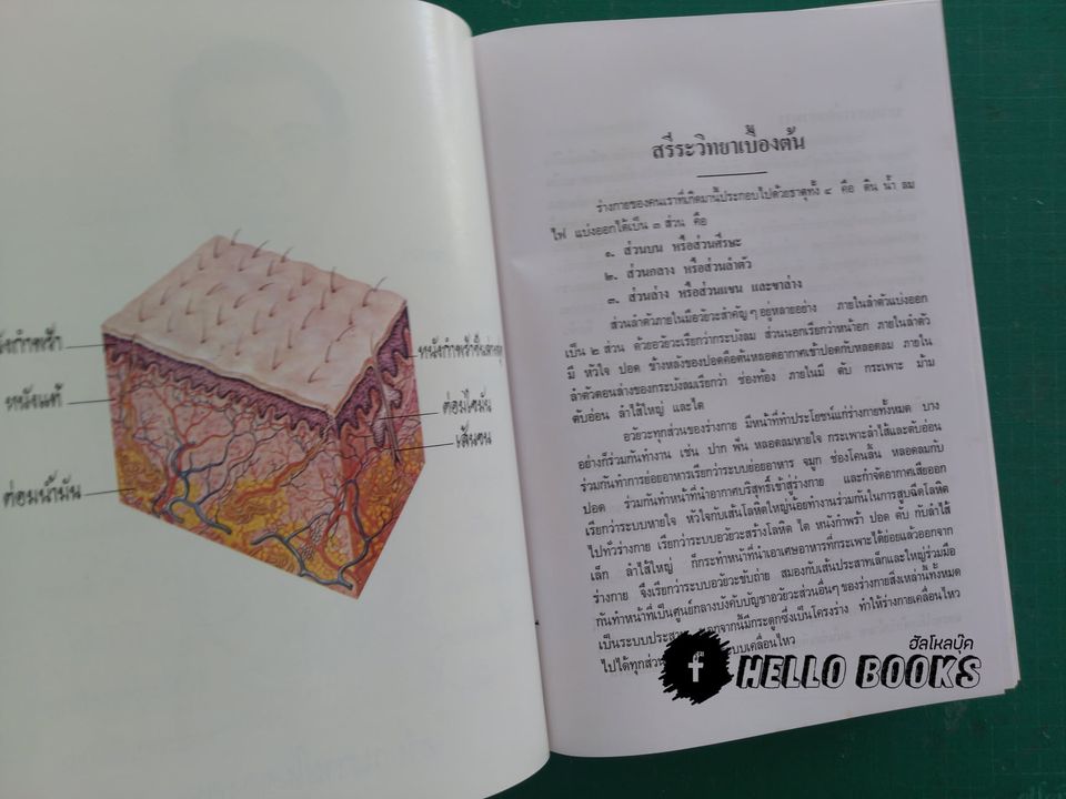 ตำราหมอ