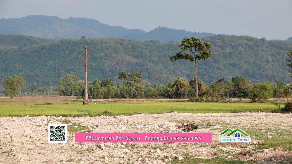 ที่ดินนครนายก วิวทุ่งนาต้นยางสวยๆ ขนาด 4 ไร่ ราคาไร่ละ 1.5 ล้าน ต.เขาเพิ่ม อ.บ้านนา จ.นครนายก