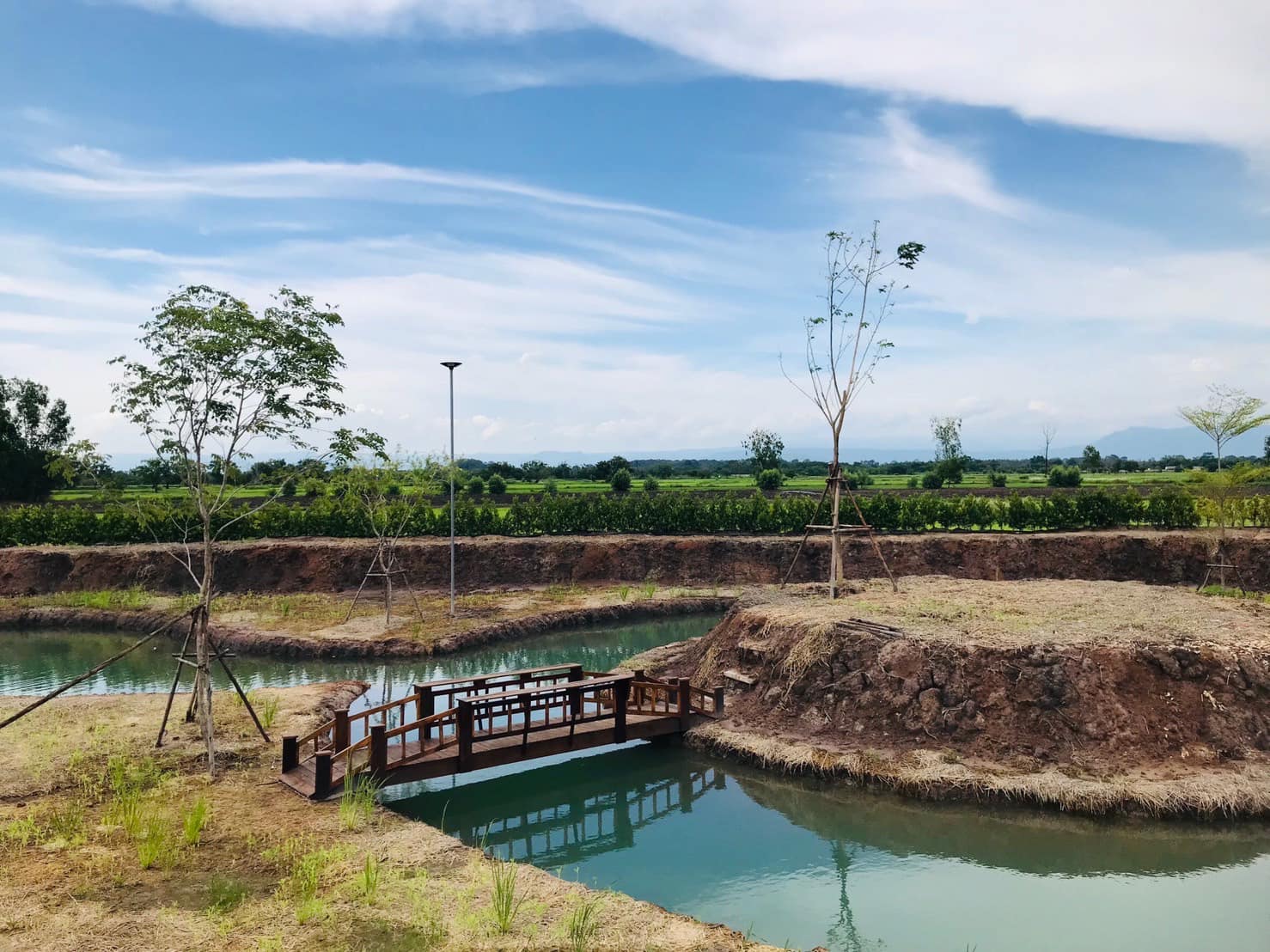 🍃 ความสุขแบบพอเพียง... เริ่มได้ที่นี่ ที่ดิน 2 ไร่ เหมาะทำสวนเกษตร อ.ปากพลี จ.นครนายก