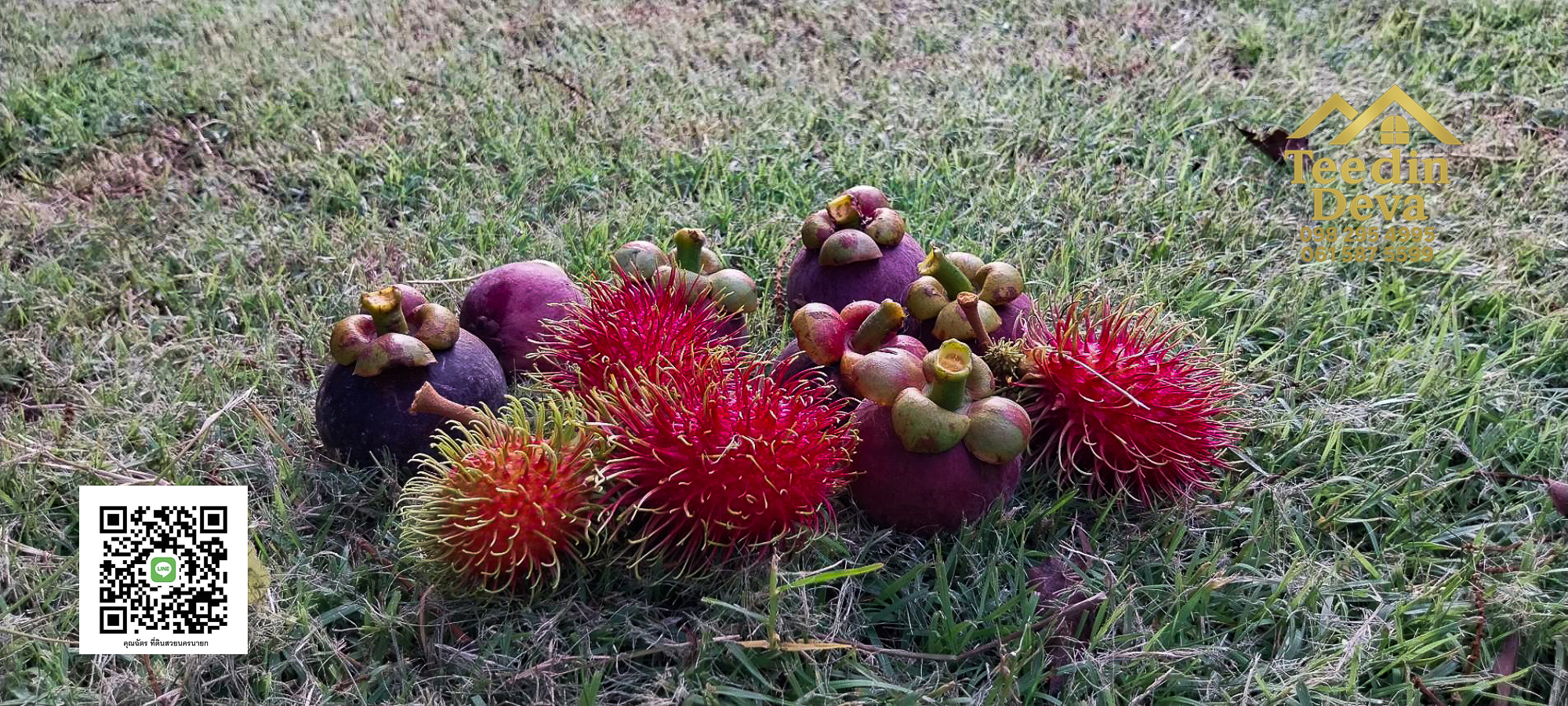 🌿 บ้านสวนในฝัน พร้อมอยู่ ใกล้เขื่อนขุนด่าน เนื้อที่ 1 ไร่ ต.สาริกา อ.เมือง จ.นครนายก 🏡