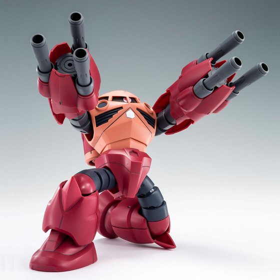 (HG) 1/144 Amazing Z'Gok (Premium Bandai)