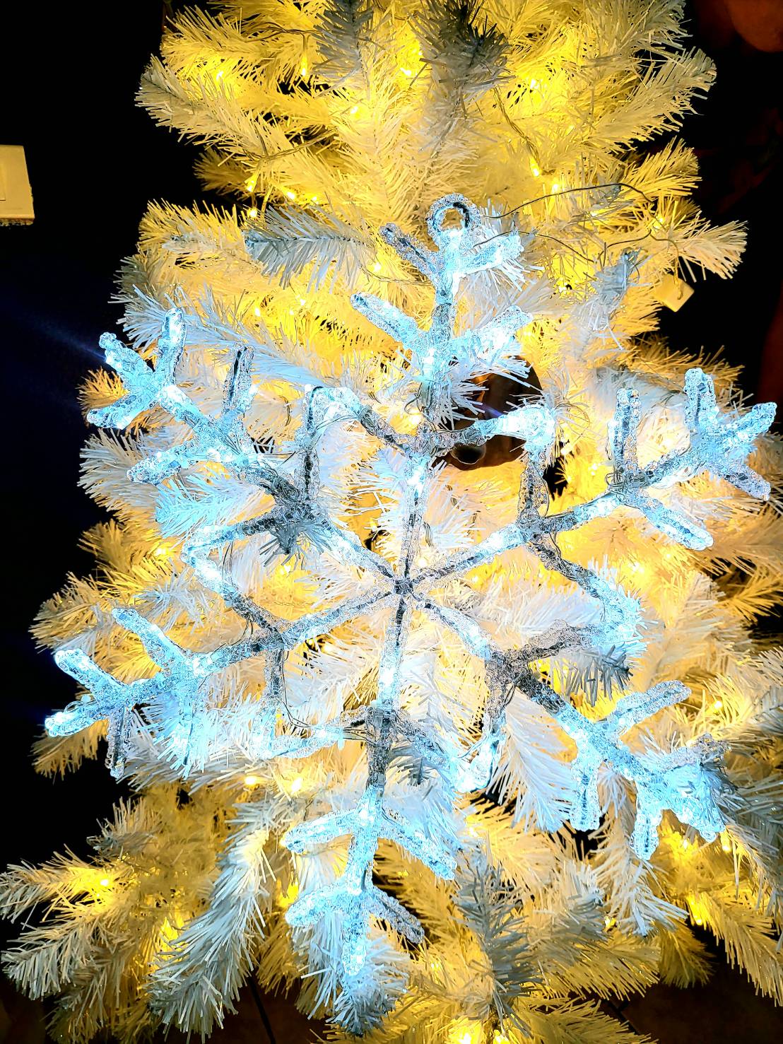 www.christmasworld888.com
