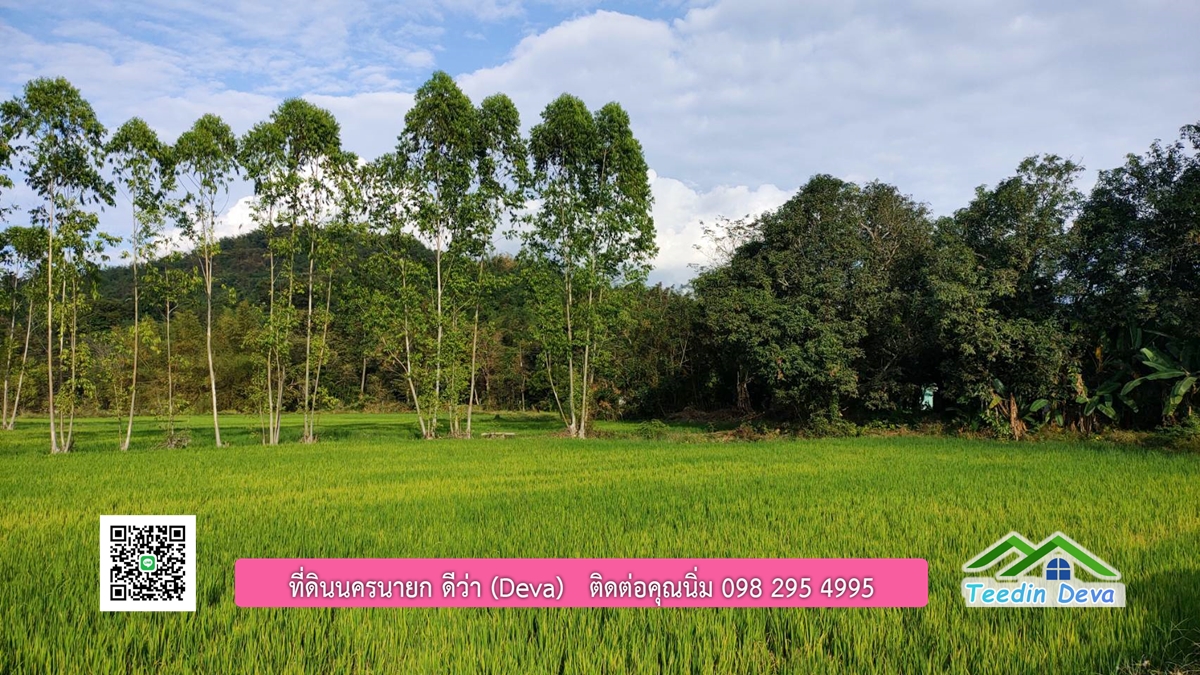 ขายที่วิวภูเขา 3 ไร่ ครุฑแดง อยู่ติดกับที่ดินของ ดาราคนดัง ต.เขาเพิ่ม อ.บ้านนา จ.นครนายก