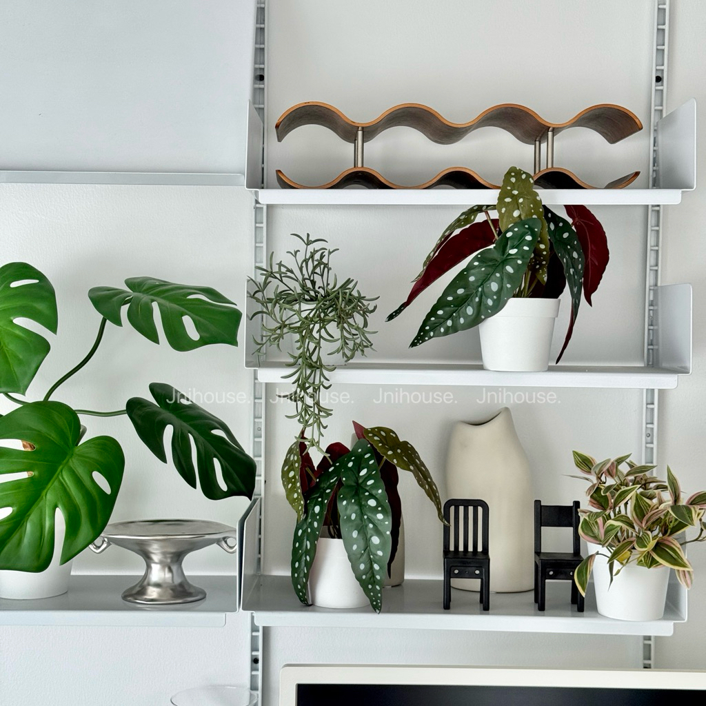 [พร้อมส่ง] Jnihouse : ต้นบีโกเนียประดิษฐ์เล็กกระถางขาว (Tree)