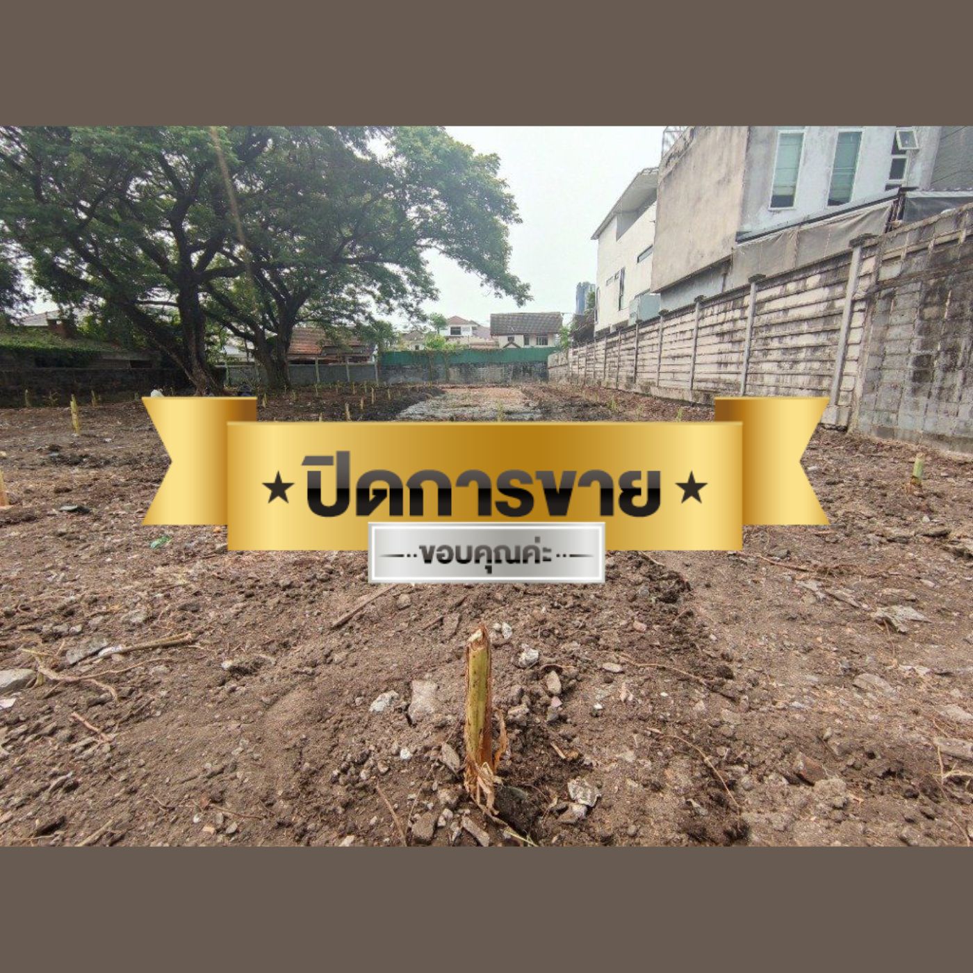 ให้เช่าที่ดินเปล่า 1ไร่ 81 ตรว. สุขุมวิท 89/1 BTSบางจาก ลดค่าเช่าพิเศษ (N.656)
