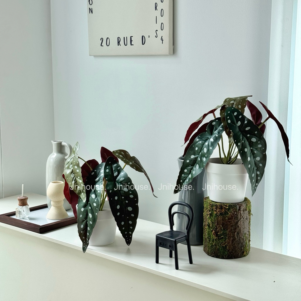 [พร้อมส่ง] Jnihouse : ต้นบีโกเนียประดิษฐ์เล็กกระถางขาว (Tree)