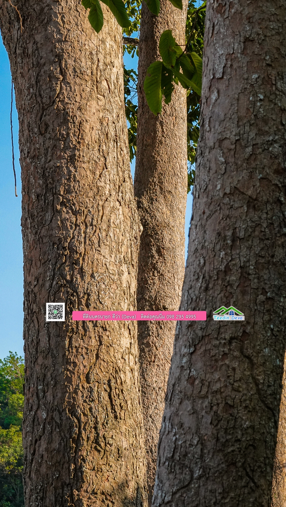 ที่ดินนครนายก วิวเขาพระ เขาใหญ่ ⭐ อยู่ใกล้แหล่งท่องเที่ยว เดินทางสะดวก ต.เขาพระ อ.เมือง จ.นครนายก