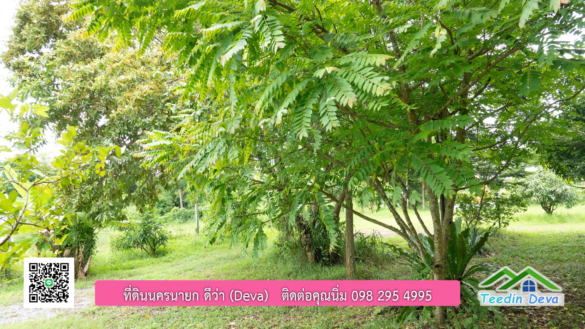 ขายบ้านสวน กลางนา วิวเขาใหญ่ ต.สาริกา อ.เมือง จ.นครนายก