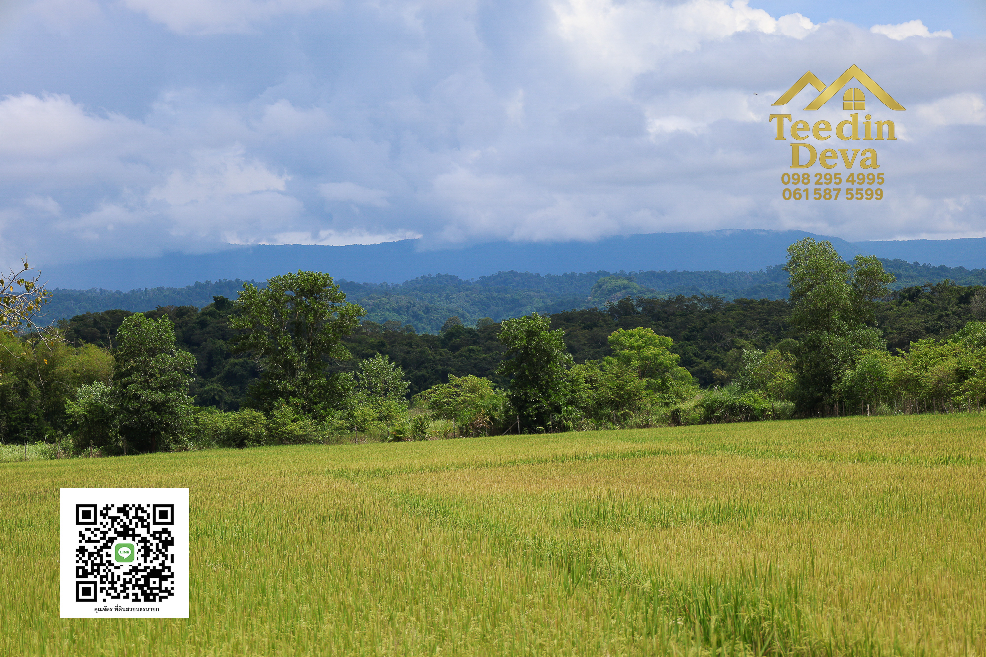 🏞️ “ที่ดินวิวเขาสุดตระการตา ใกล้เขาใหญ่เพียง 10 นาที — นาหินลาด อำเภอปากพลี จังหวัดนครนายก”