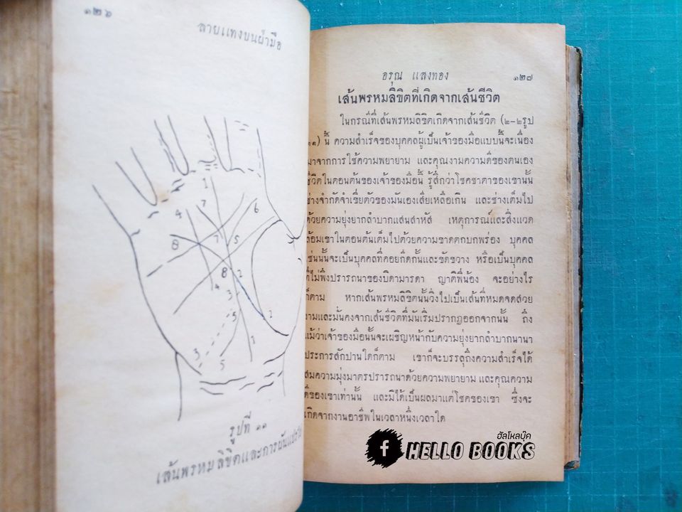 ลายแทงบนฝ่ามือ