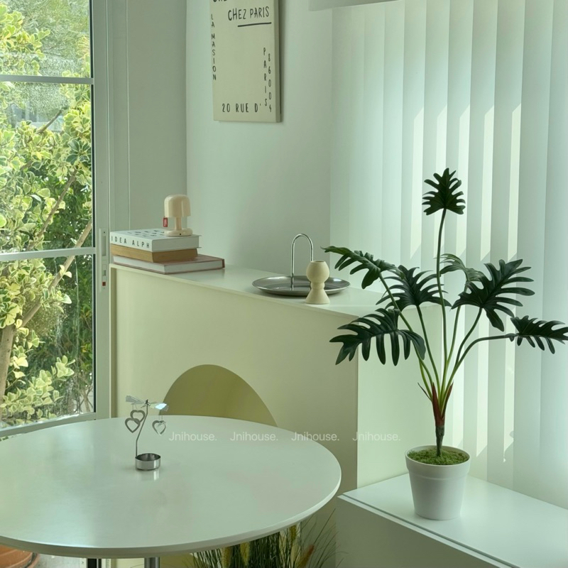 [พร้อมส่ง] Jnihouse : ต้นซานาดู (Xanadu Plant)(Tree)