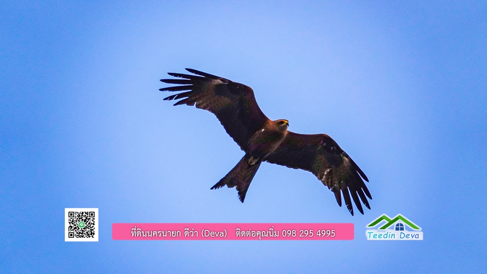 🌿 ที่ดินสวยๆ ขนาด 2 ไร่ พร้อมน้ำไฟ ดินดี น้ำดี อากาศดี มีเพื่อนบ้าน ณ ต.ปากพลี อ.ปากพลี จ.นครนายก