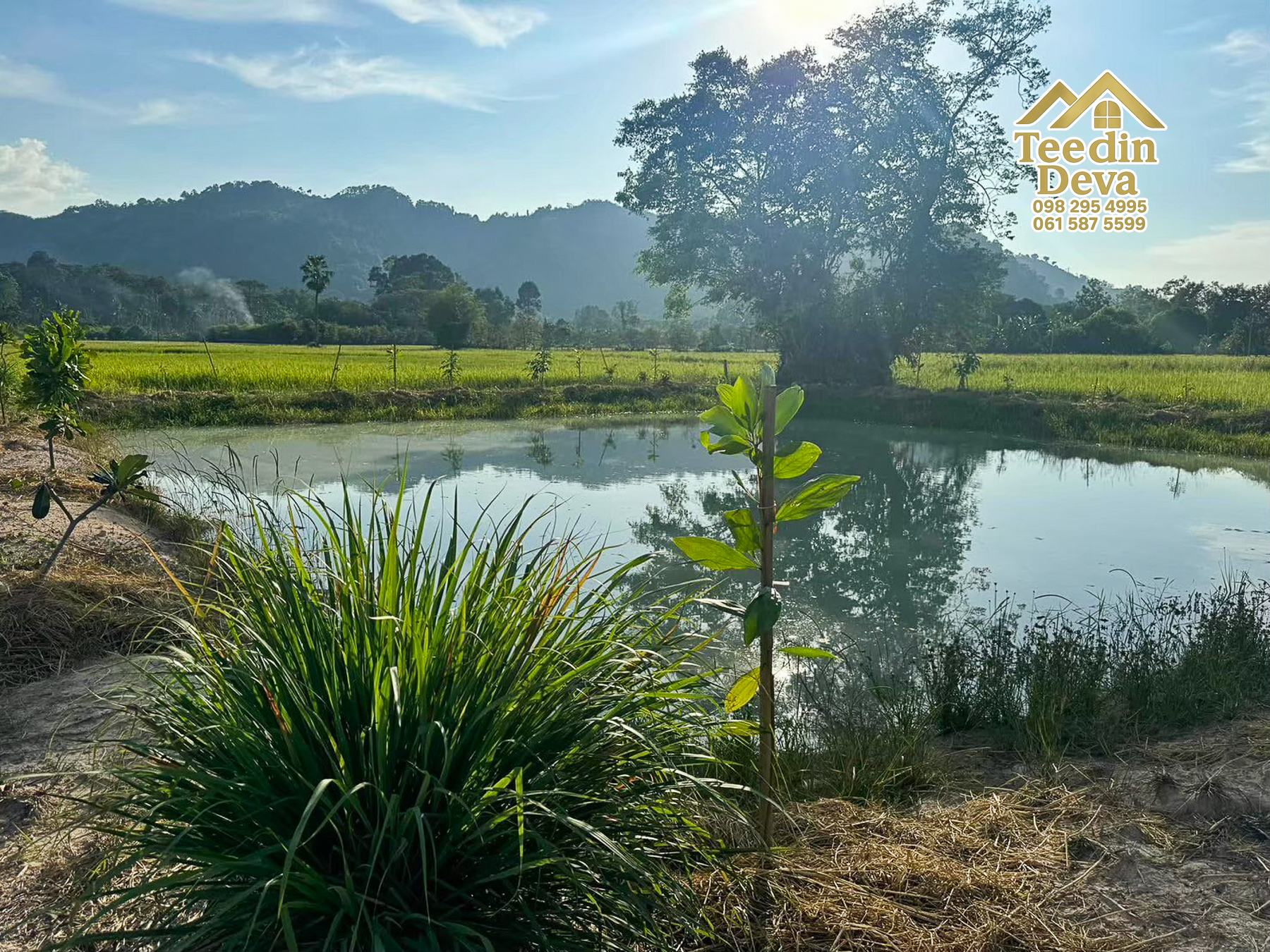 🏞️ ที่ดินวิวภูเขา จุดเริ่มต้นของบ้านในฝัน เนื้อที่ 300 ตารางวา ต.เขาพระ อ.เมือง จ.นครนายก