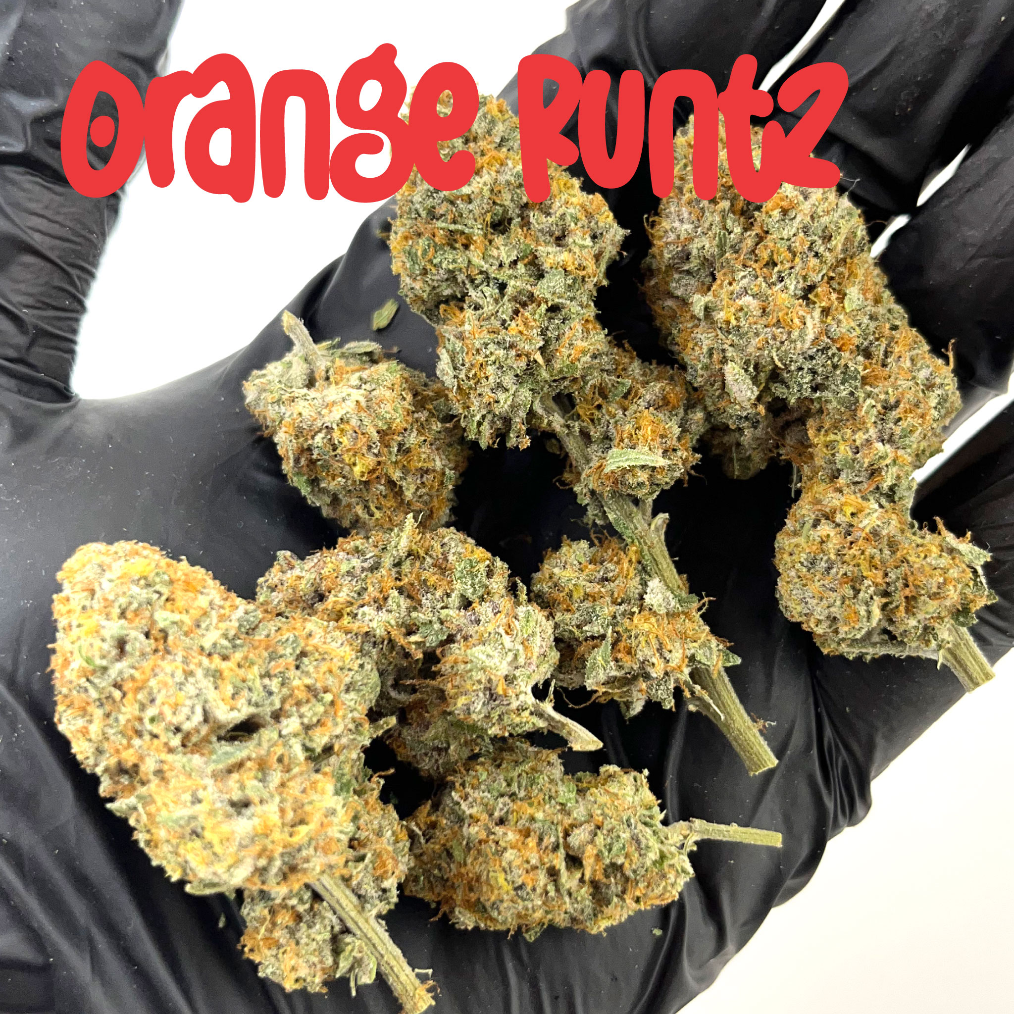 Orange Runtz (In Door)