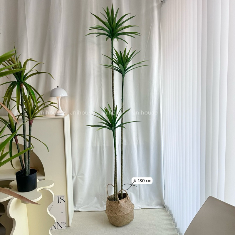 [พร้อมส่ง] Jnihouse : Dragon Tree (version.2)