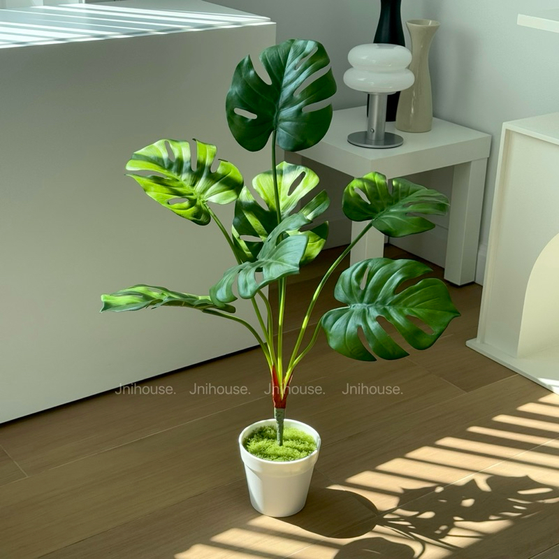 [พร้อมส่ง] Jnihouse : ต้นมอนสเตร่าประดิษฐ์กระถางขาว (Monstera Plant)(Tree)