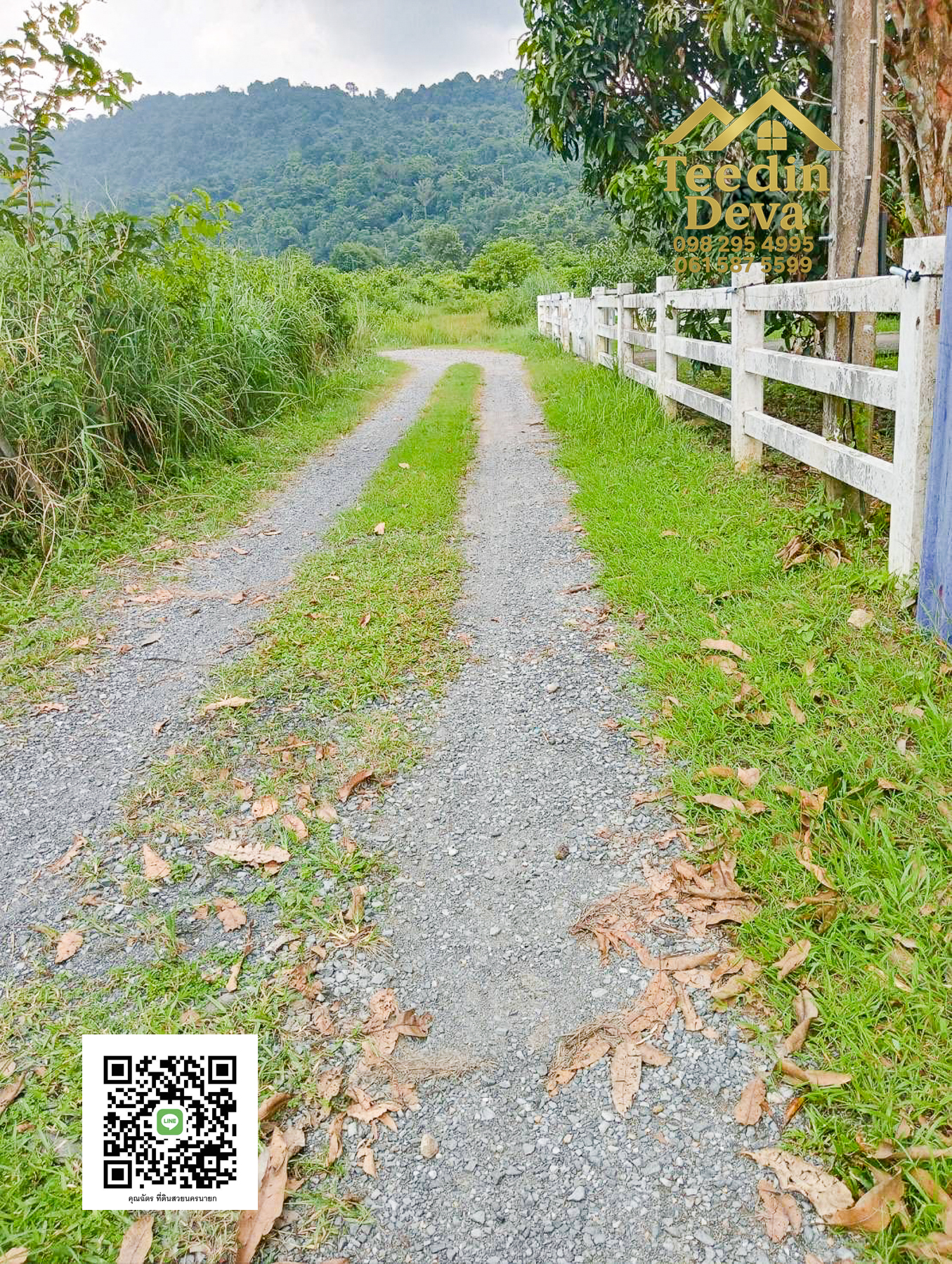 🏡 บ้านสวนผลไม้ในฝัน 1 ไร่ — ต.สาริกา อ.เมือง จ.นครนายก 🍃 อบอุ่น ร่มรื่น วิวสวย อากาศดีทั้งปี 🌿