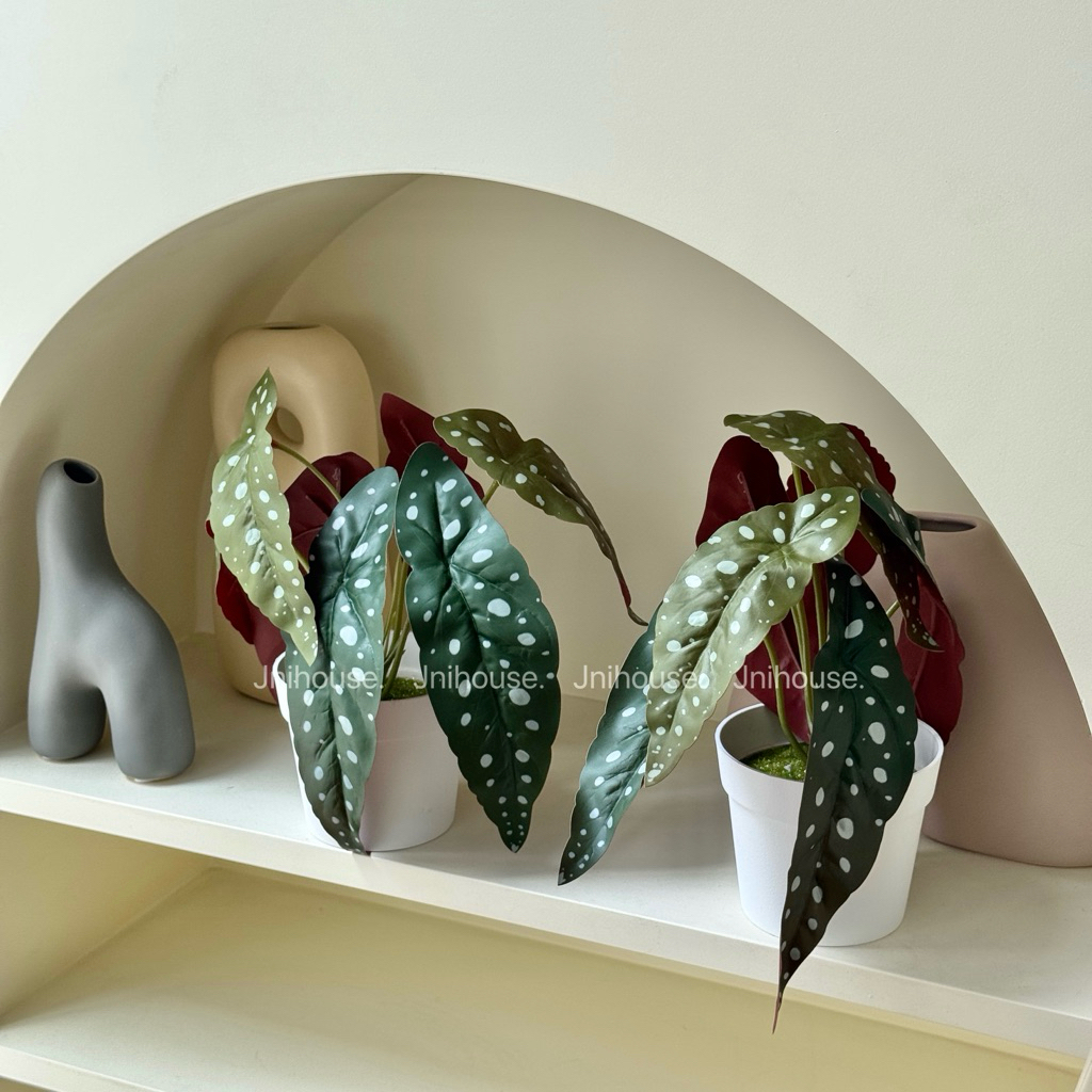 [พร้อมส่ง] Jnihouse : ต้นบีโกเนียประดิษฐ์เล็กกระถางขาว (Tree)