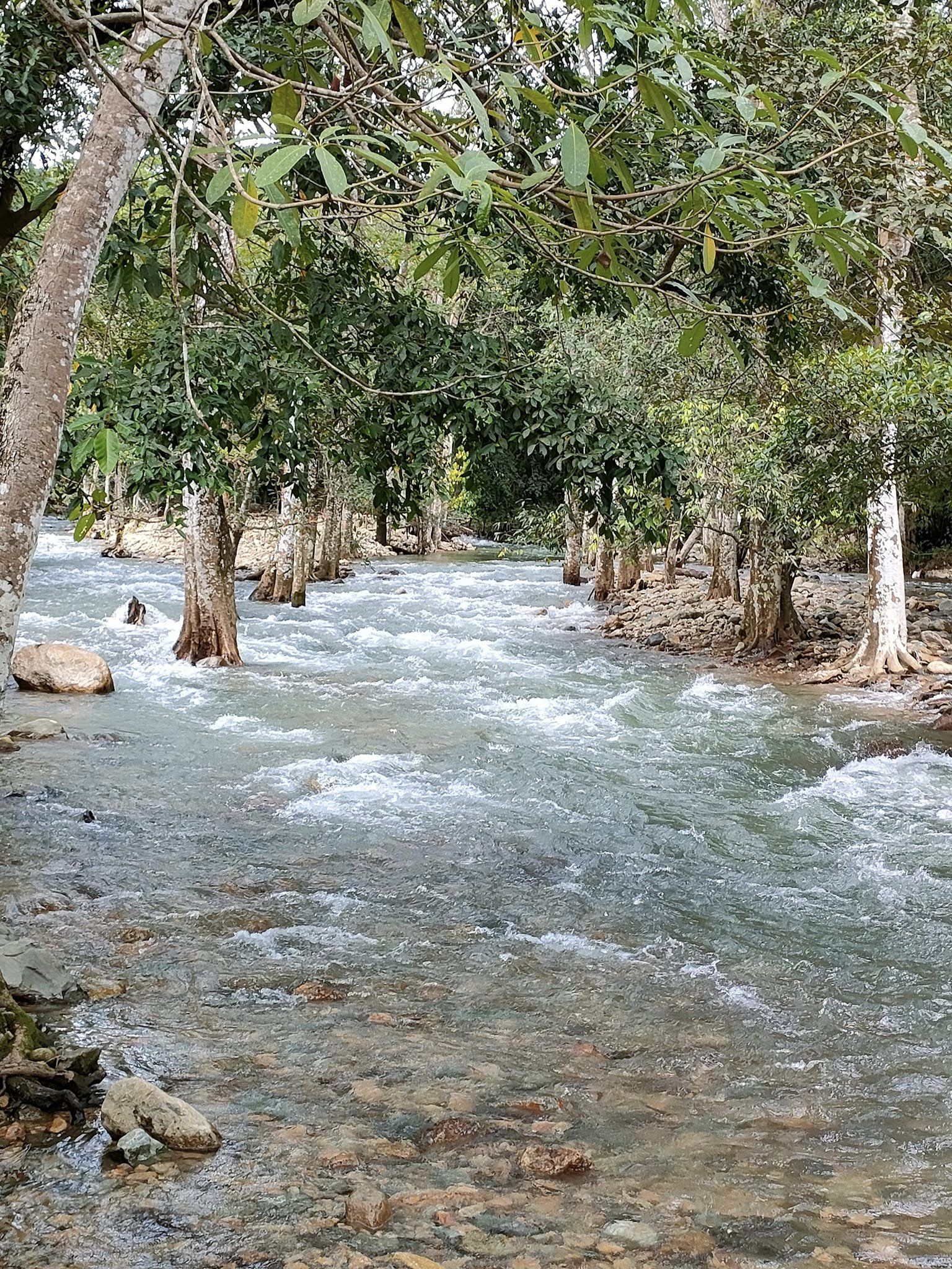 ที่ดินนครนายก ติดลำธารสวย บรรยากาศดีมากๆ วิวภูเขาล้อมพาโนราม่า ต.สาริกา อ.เมือง จ.นครนายก โฉนดครุฑแดง