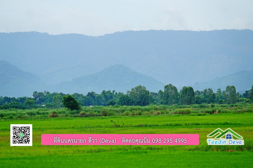 ที่ดินนครนายก โครงการ Mountain 3 อ.บ้านนา จ.นครนายก