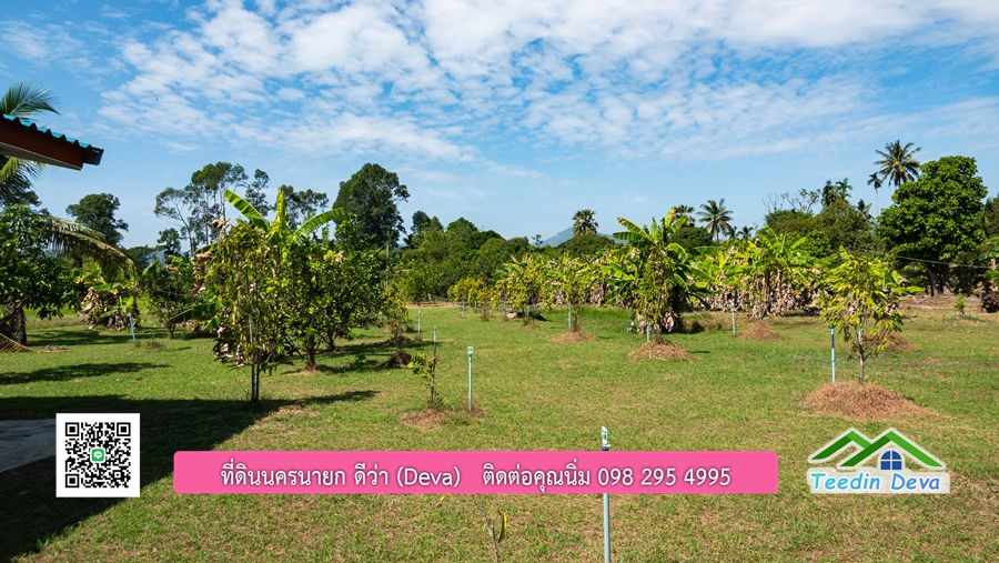 (ติดจอง) ที่ดินนครนายก บ้านสวน พร้อมที่ดิน ขนาด 1 ไร่ 1 งาน วิวภูเขาสวย อยู่ใกล้เขื่อนขุนด่านปราการชล