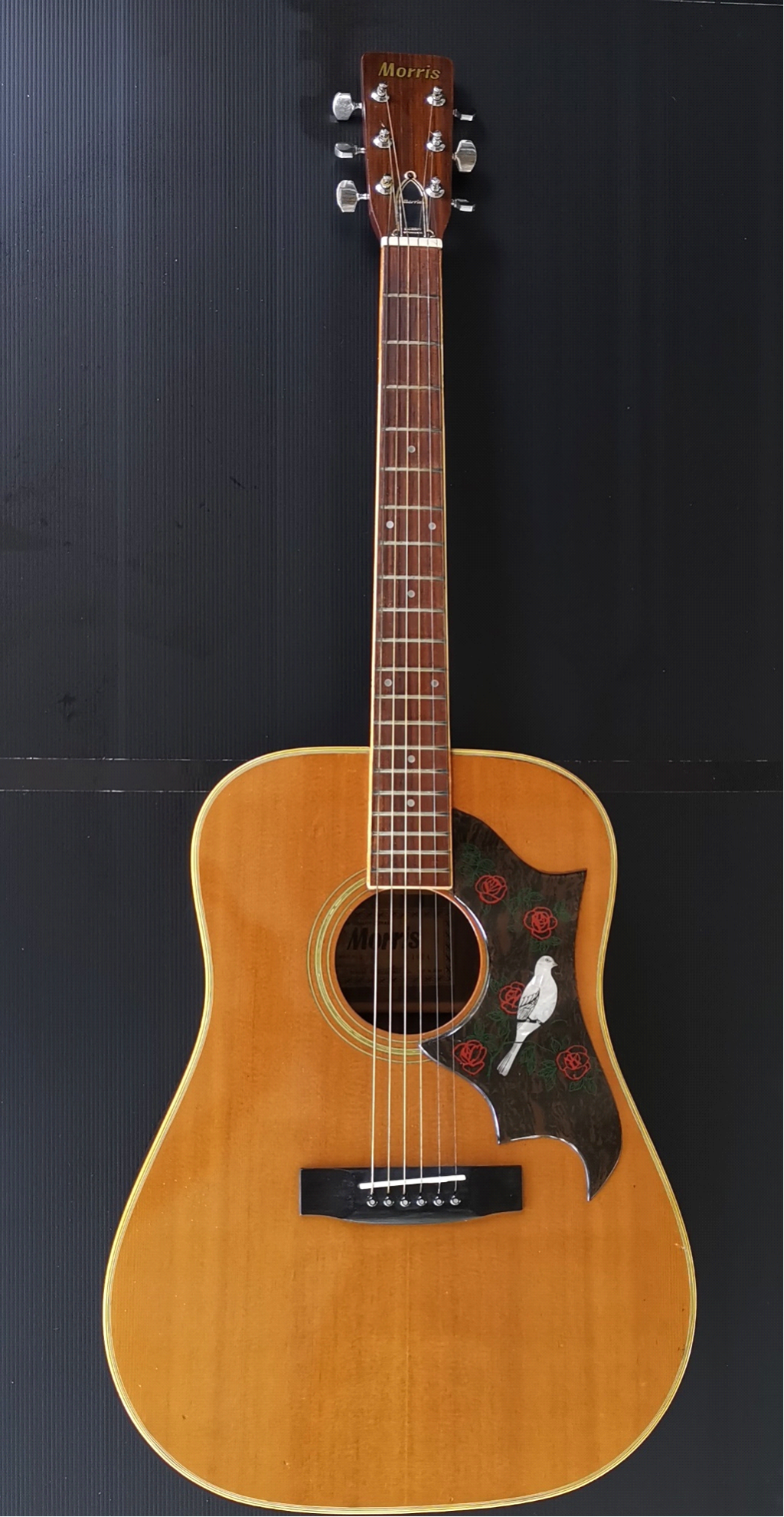 GUITAR : MORRIS W25