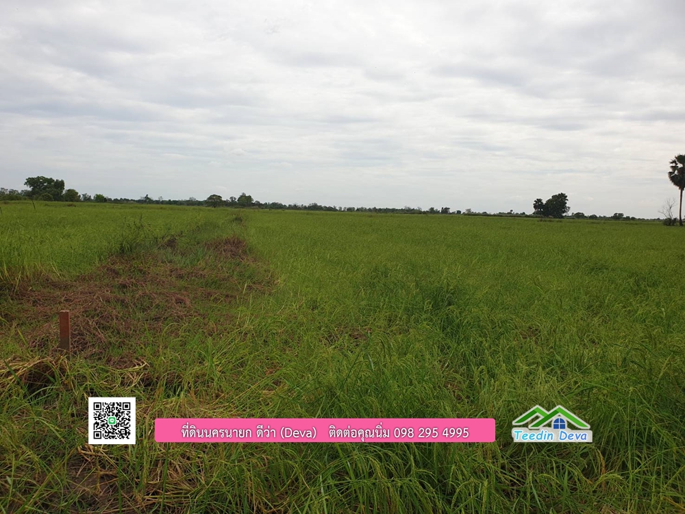 ที่ดินแปลงสวย ราคาถูก เนื้อที่ 33-1-67 ไร่ ราคาไร่ละ 250,000 บาท การเดินทางสะดวก อยู่ใกล้จุดชมนกเหยี่ยวหูดำ อ.ปากพลี จ.นครนายก