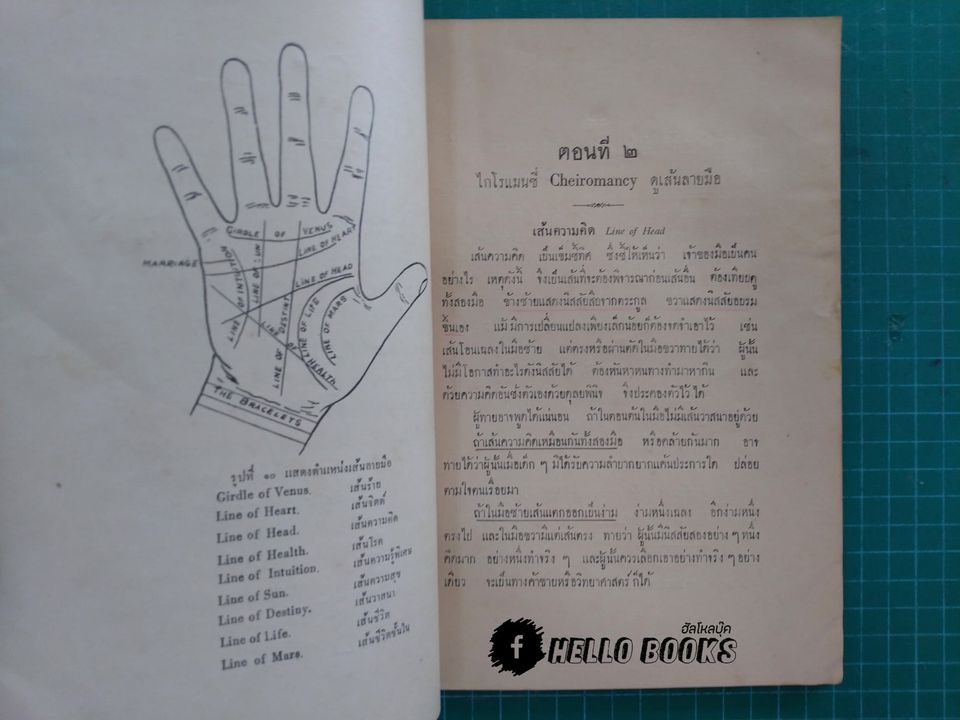 หมอดู เล่ม ๑ เรื่องมือแลลายมือ