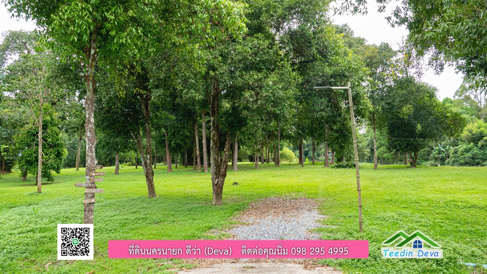 ที่ดินนครนายก ติดแม่น้ำ 14 ไร่ พื้นที่ติดแม่น้ำ 400 เมตร ชมลำธารสวยๆ บรรยากาศสบายๆ ต.สาริกา อ.เมือง จ.นครนายก